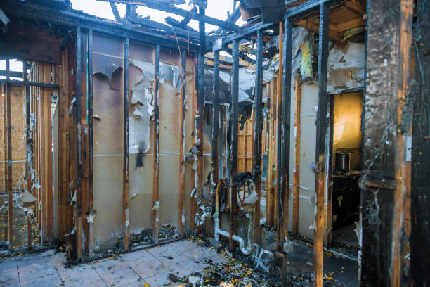 Professional Fire Damage Assessment technician working in Medina, MN