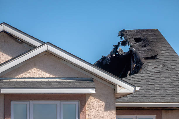 Top rated local Fire Damage Assessment specialists in Medina, MN